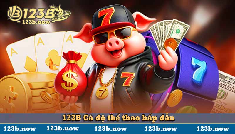 123b cá độ thể thao hấp dẫn